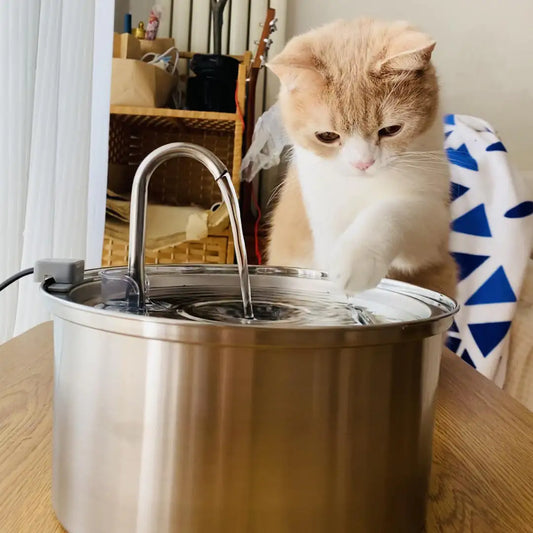 Splashy - Cat Water Fountain